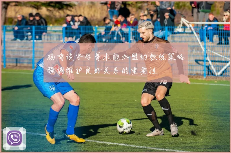 杨鸣谈字母哥未能加盟的教练策略强调维护良好关系的重要性
